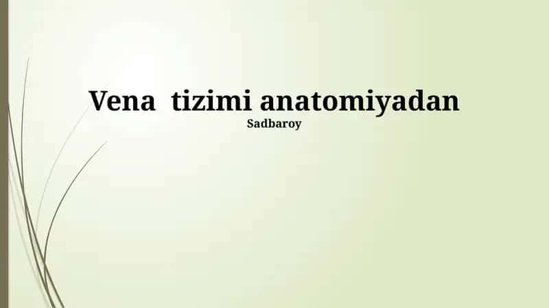 Tomirlar Tizimi Anatomiyasi 1