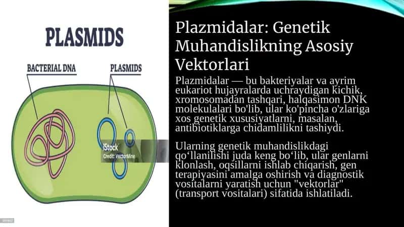 Plazmidalar. 1