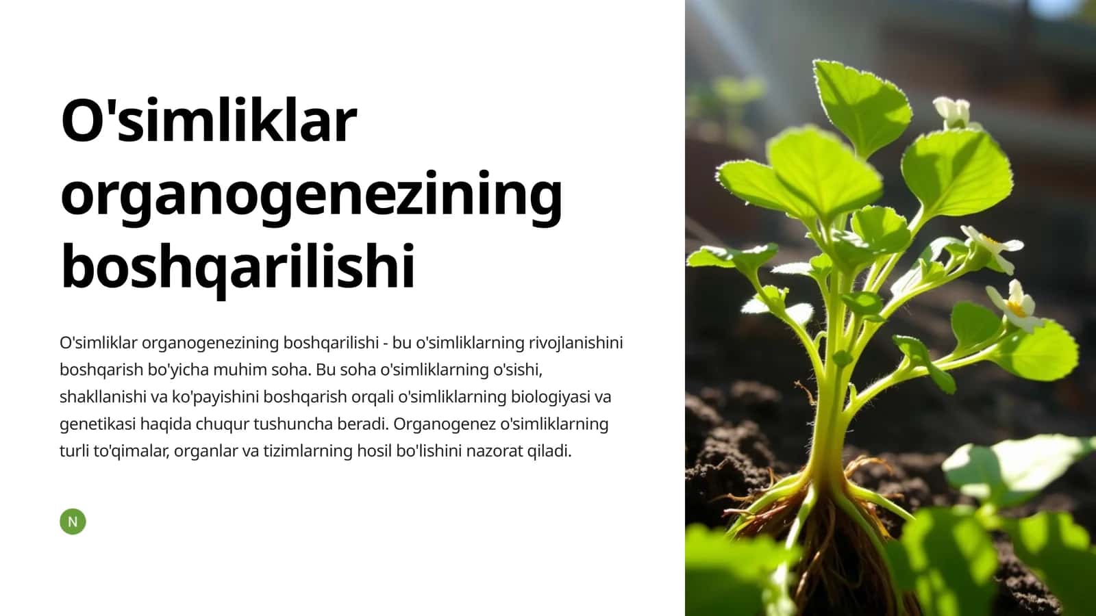O'simliklarning organagezining boshqarilishi 1