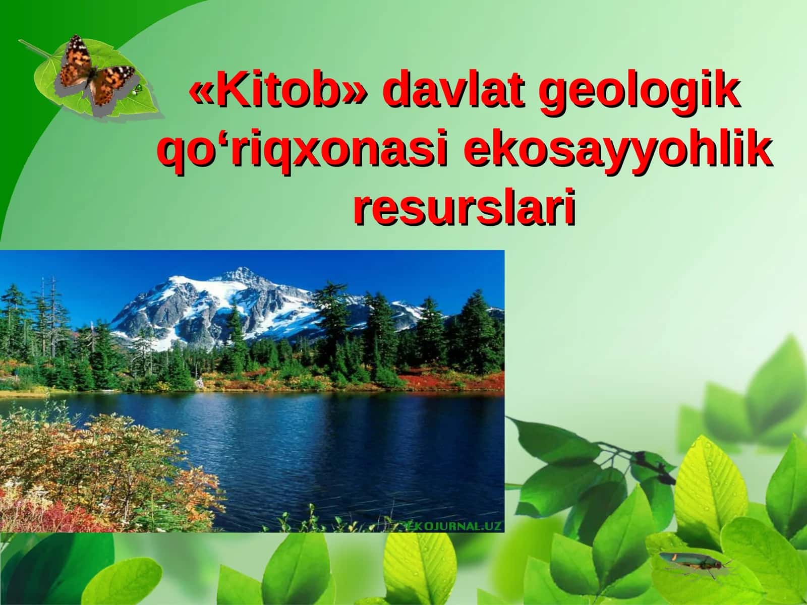 «Kitob» davlat geologik qo‘riqxonasi eko sayyohlik resurslari 1