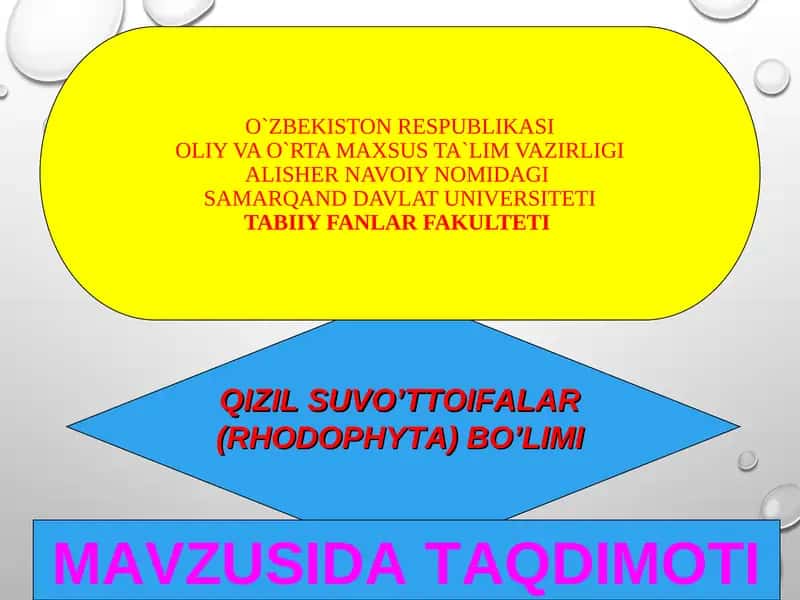 Qizil suvo’ttoifalar (Rhodophyta) 1