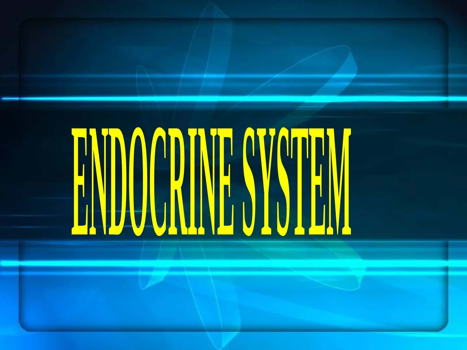 ENDOCRINE SYSTEM 1