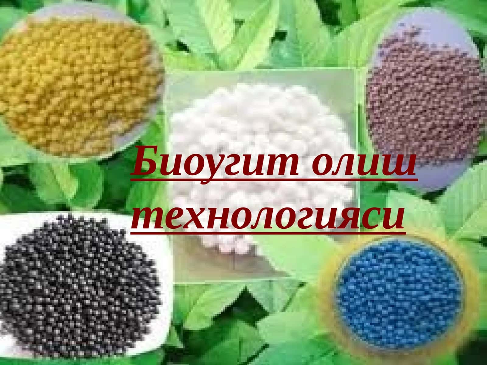 Биоугит олиштехнологияси 1