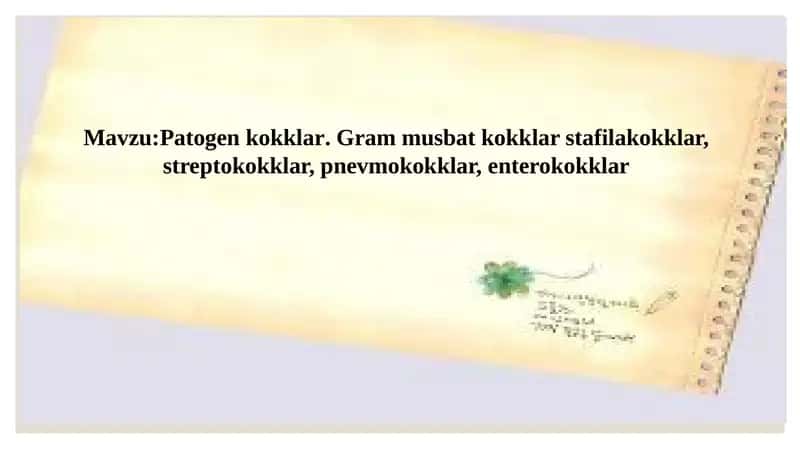 Patogen kokklar. Gram musbat kokklar stafilakokklar, streptokokklar, pnevmokokklar, enterokokklar 1