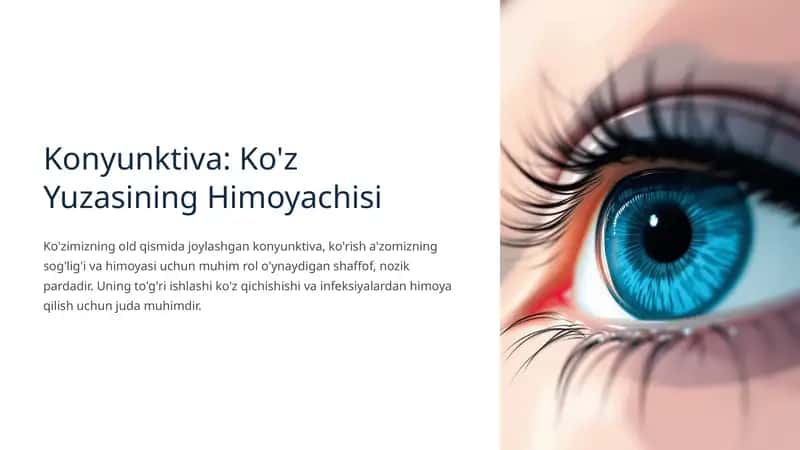 Konyunktiva: Ko'z Yuzasining Himoyachisi 1