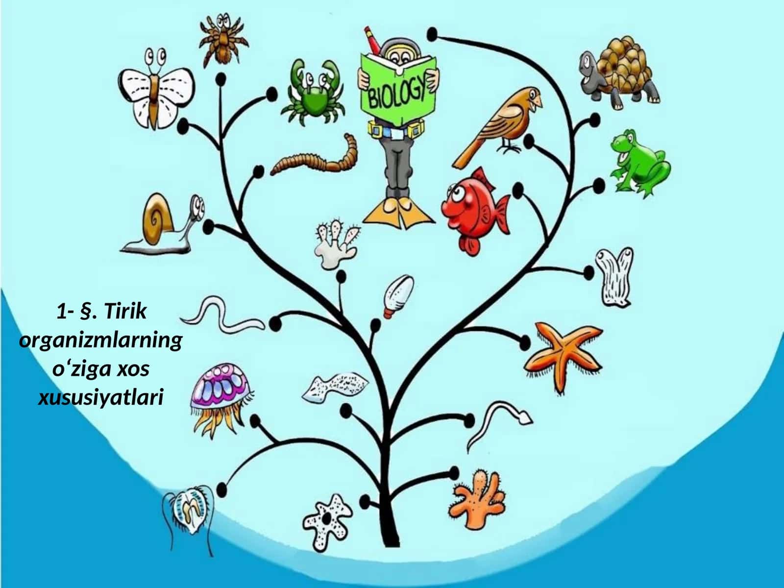Tirik organizmlarning o‘zi gaxos xususiyatlari 1