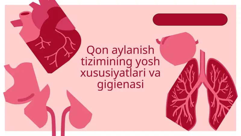Qon aylanish tizimi 1