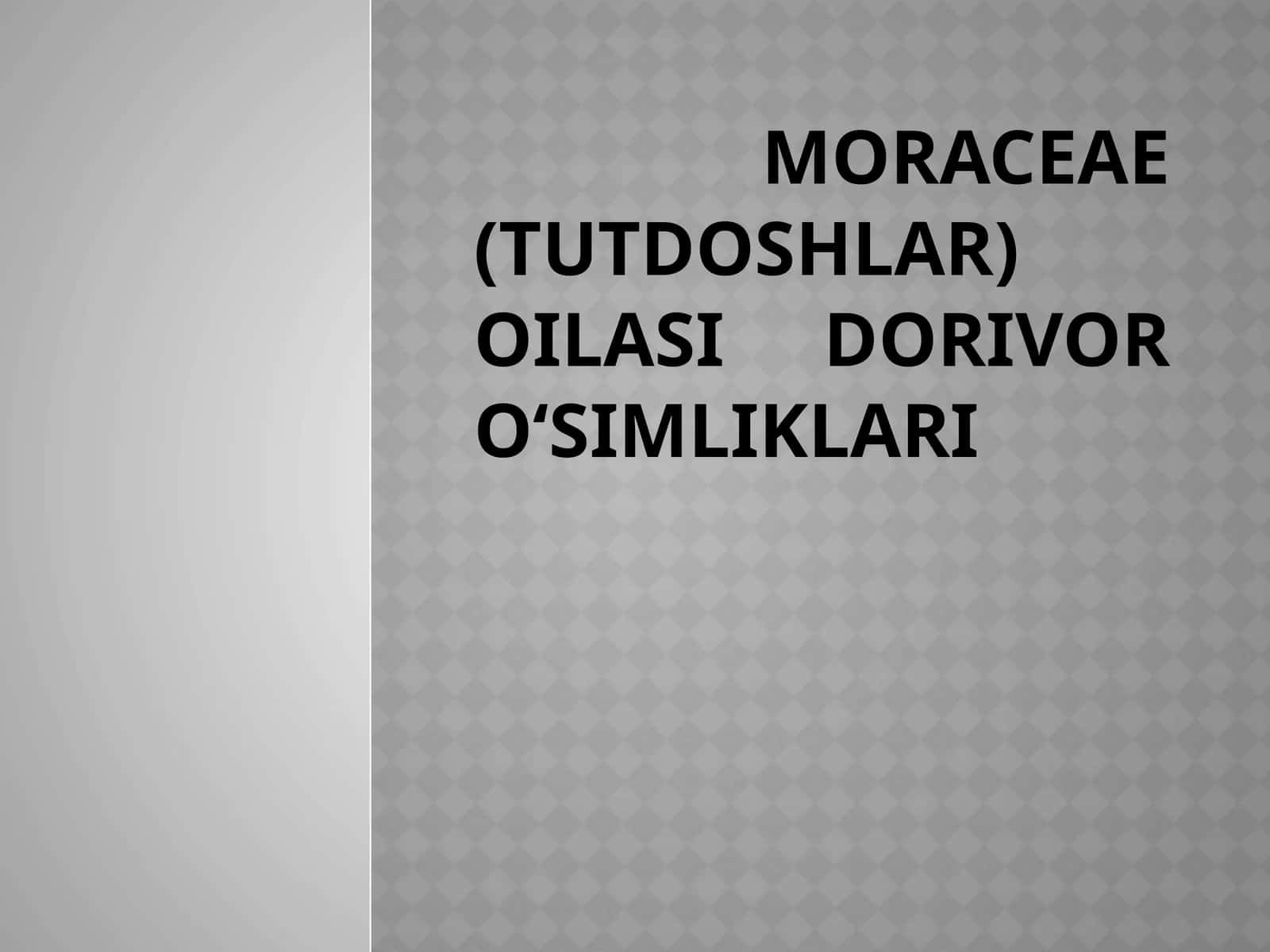 Tutdoshlar (Moraceae) yağı 1