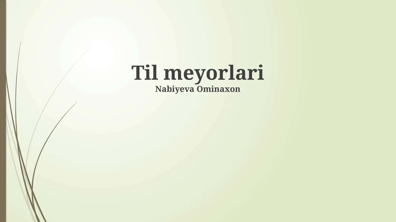 Til meyorlari 1
