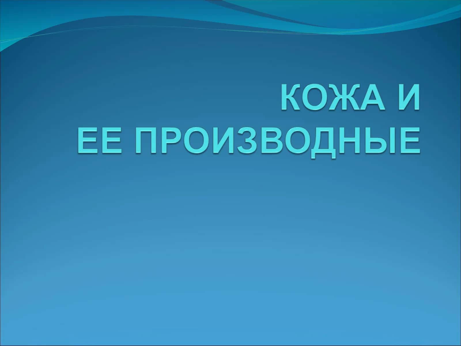 Кожа 1
