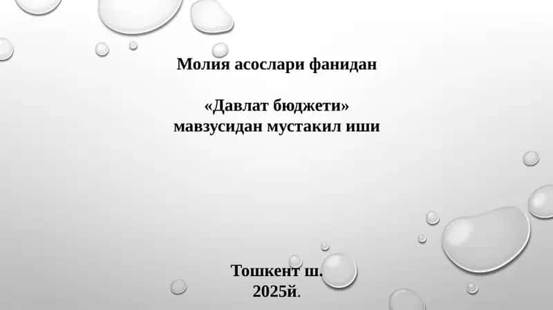 Davlat budjeti mavzusida taqdimot 1