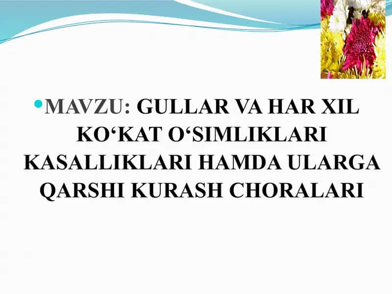 GULLAR VA HAR XIL KO‘KAT O‘SIMLIKLARI KASALLIKLARI HAMDA ULARGA QARSHI KURASH CHORALARI 1