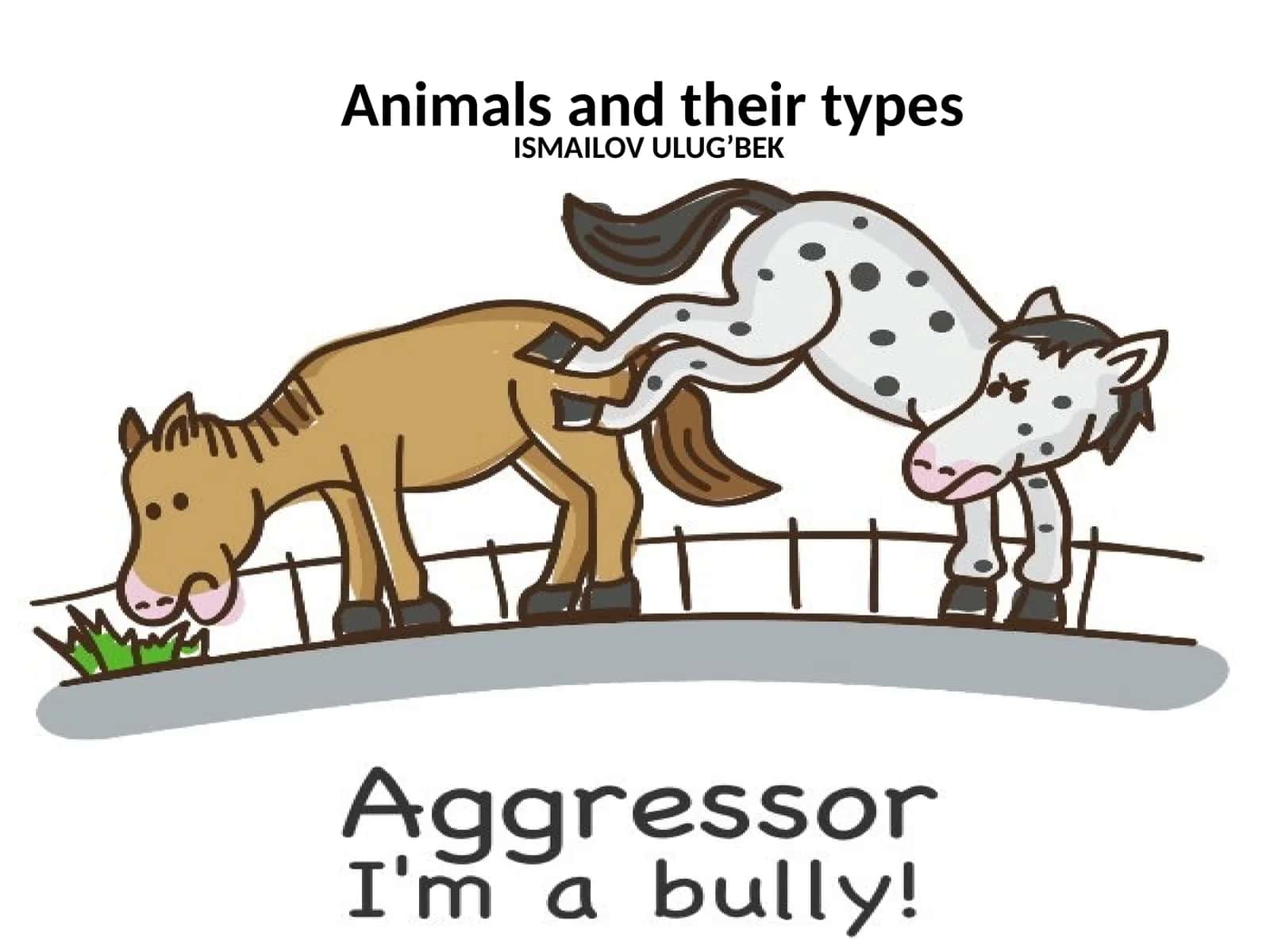Animals and their types 1