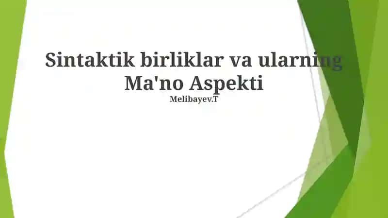 Sintaktik birliklar va ularning Ma'no Aspekti 1