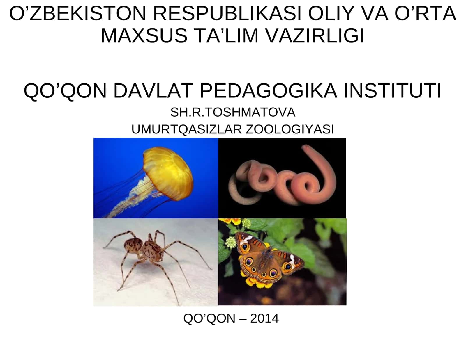 Trilobitlar (TRILOBITA) va heliceralilar (CHELICERATA) kenja tiplariga umumiy tavsif 1
