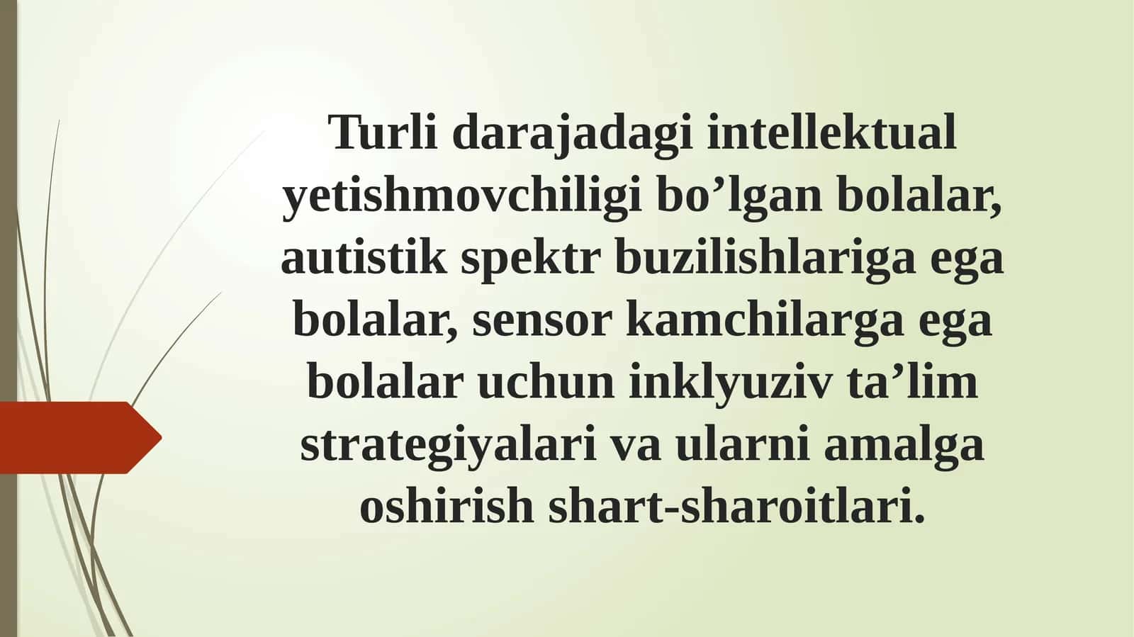 Turli darajadagi intellektual yengilgi bo'lgan bolalar uchun inklyuziv ta'lim strategiyalari 1