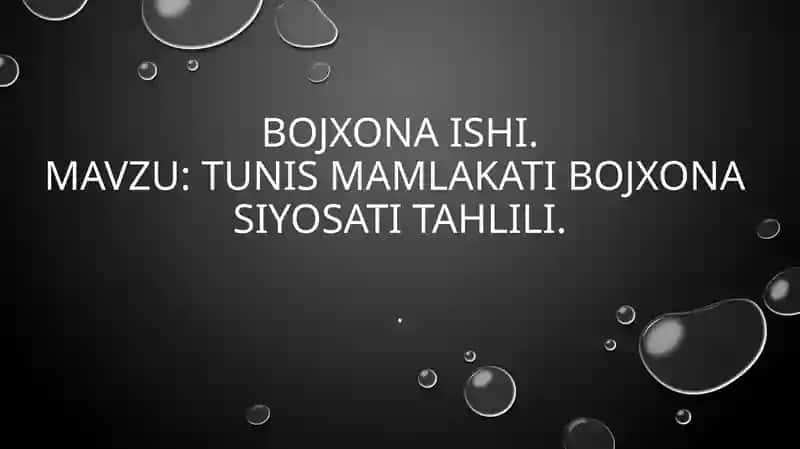 TUNIS mamlakati bojxona siyosati tahlili
