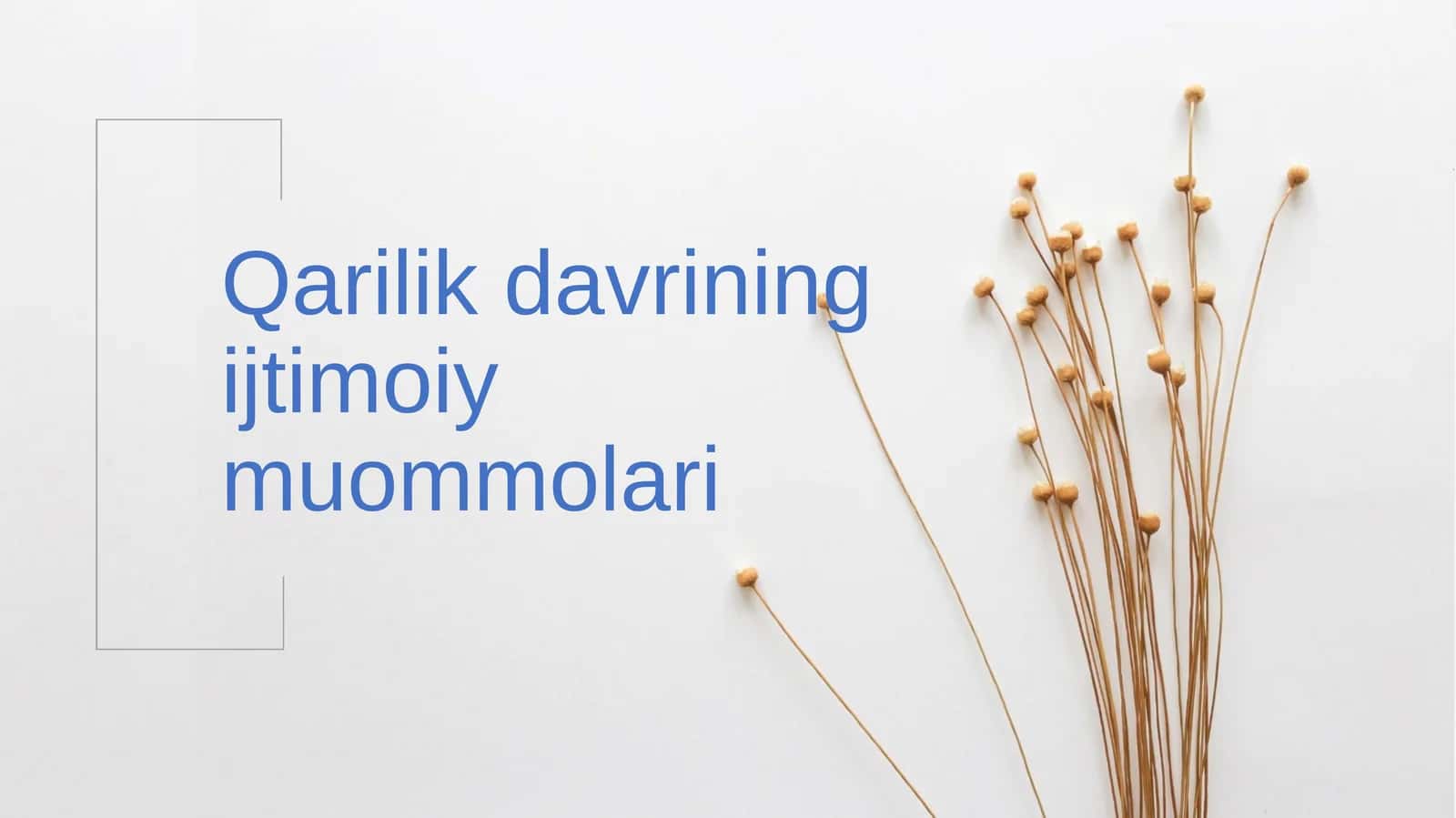 Qarilik davrining ijtimoiy muommolari 1