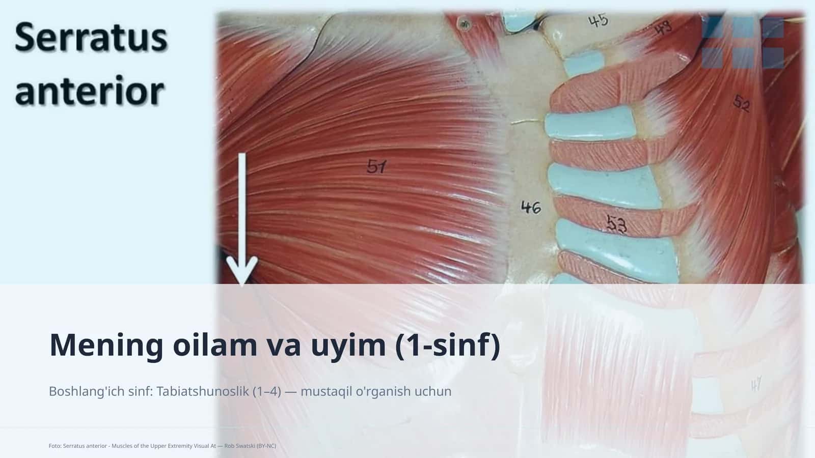 Mening oilam va uyim (1-sinf) 1