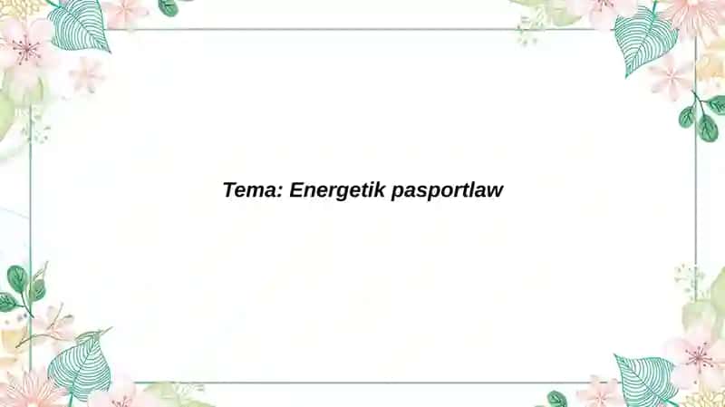 Energetik Pasport