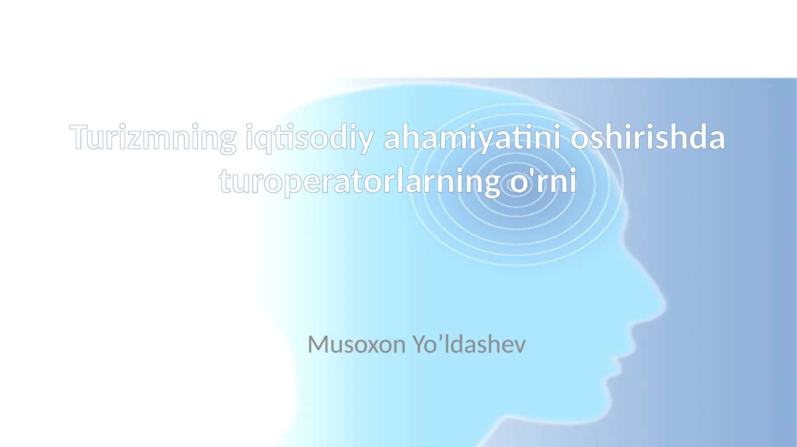 Turizmning iqtisodiy ahamiyatini oshirishda turoperatorlarning o'rni 1