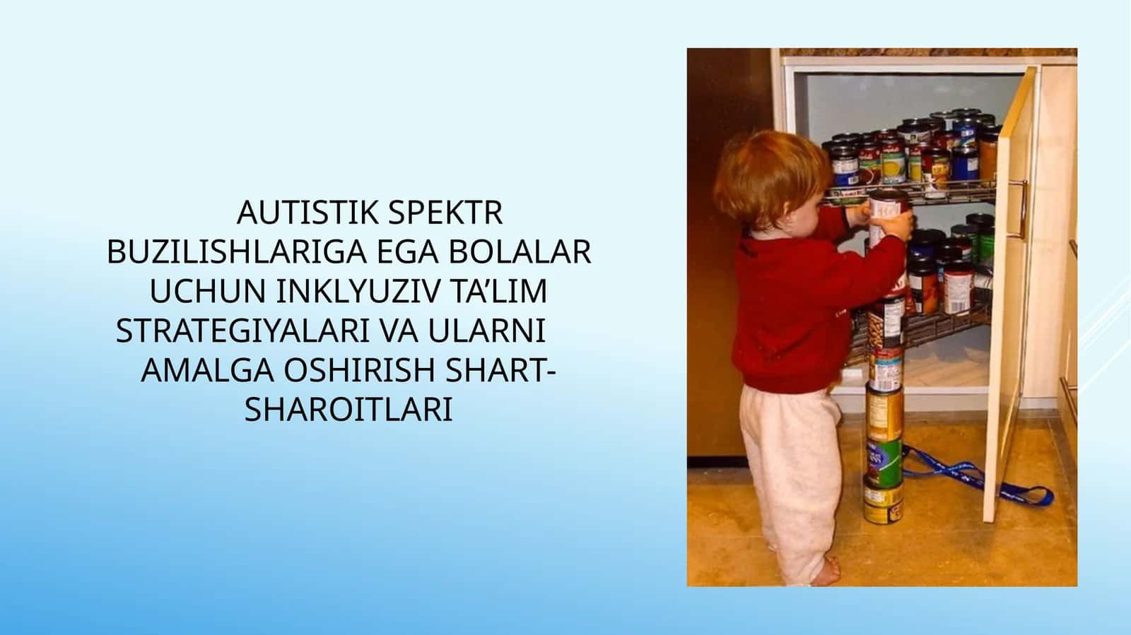 Autistik spektr buzilishlariga ega bolalar uchun inklyuziv ta’lim strategiyalari 1