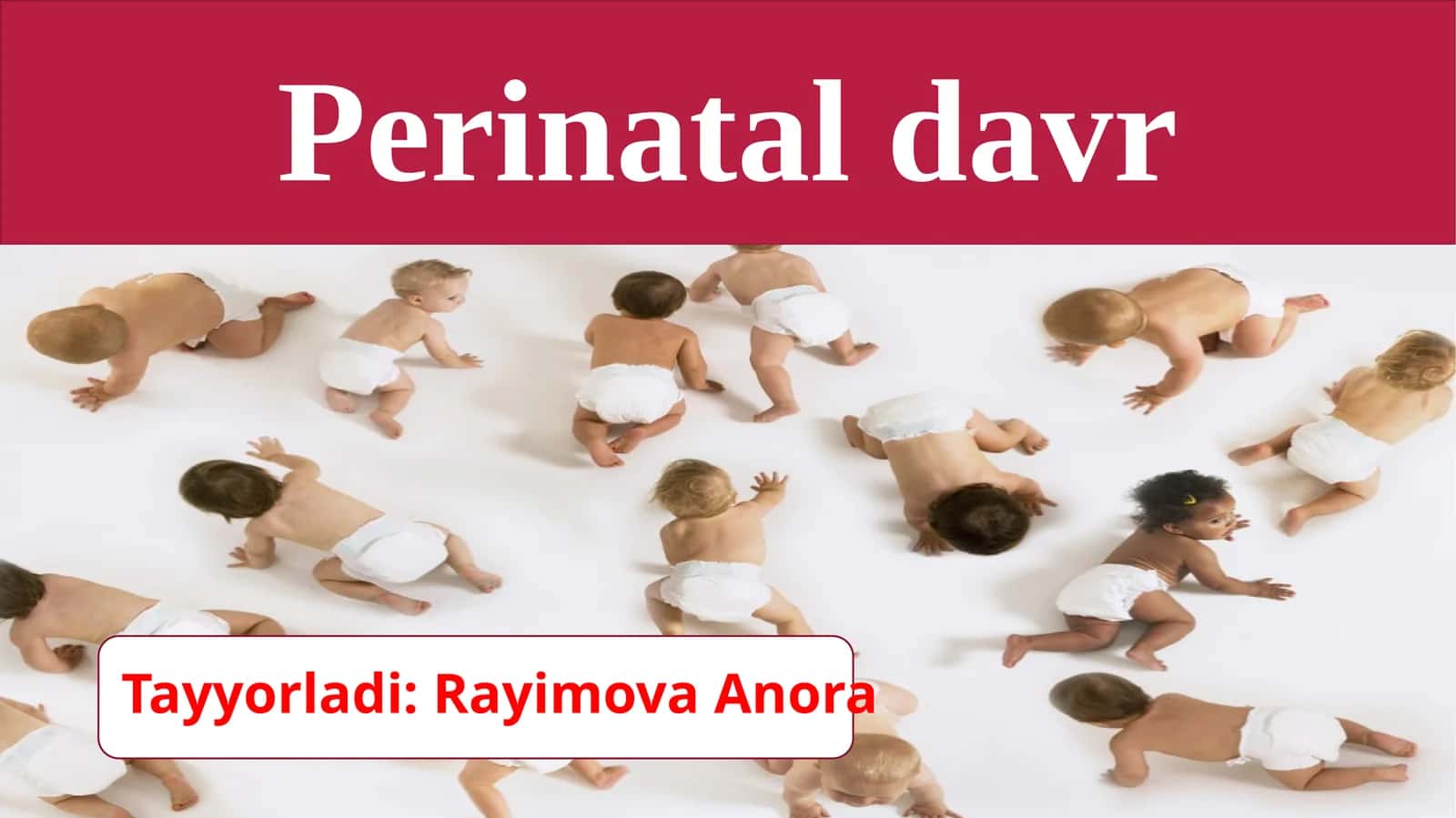 Perinataldavr 1
