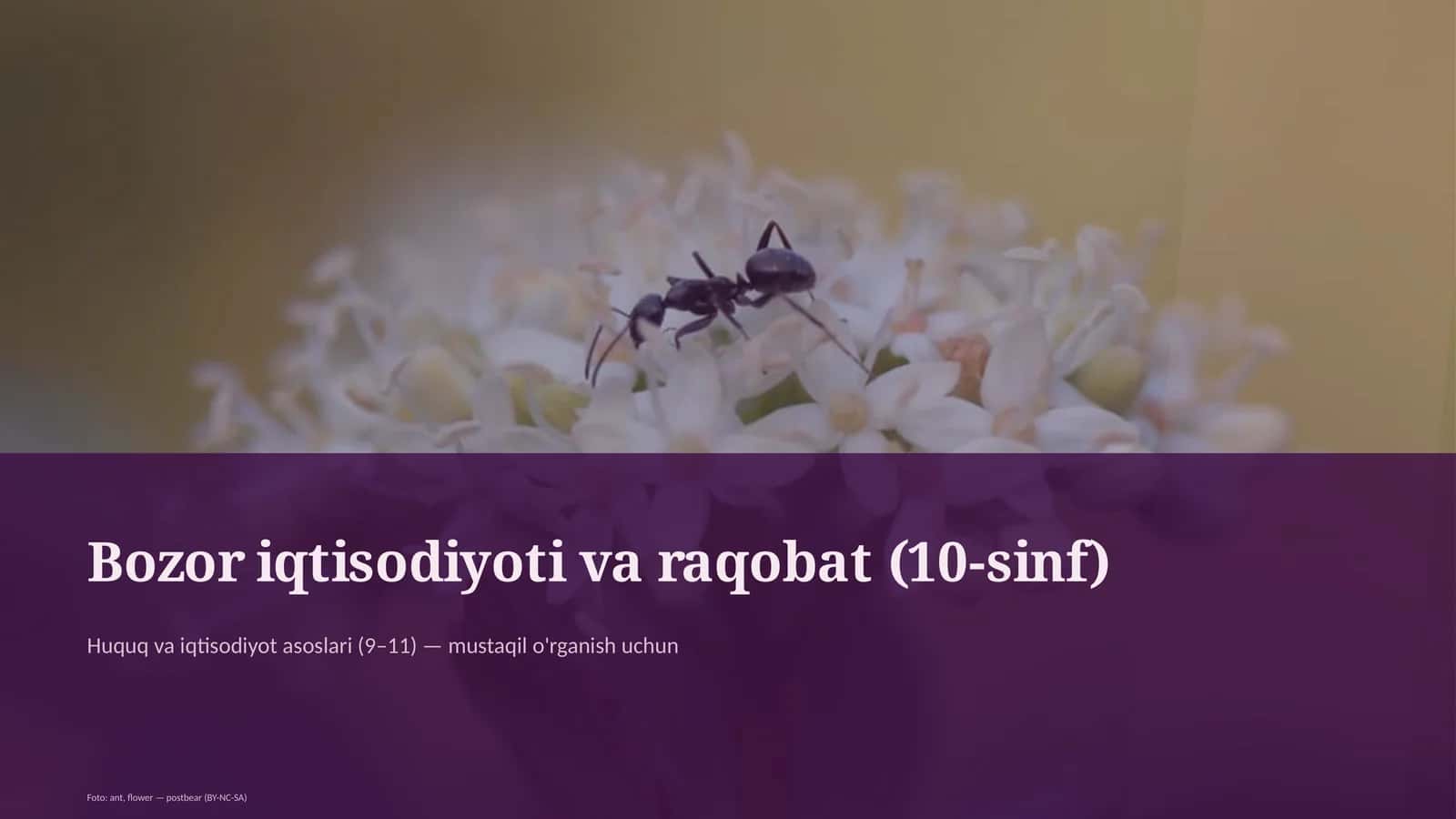 Bozor iqtisodiyoti va raqobat (10-sinf) 1