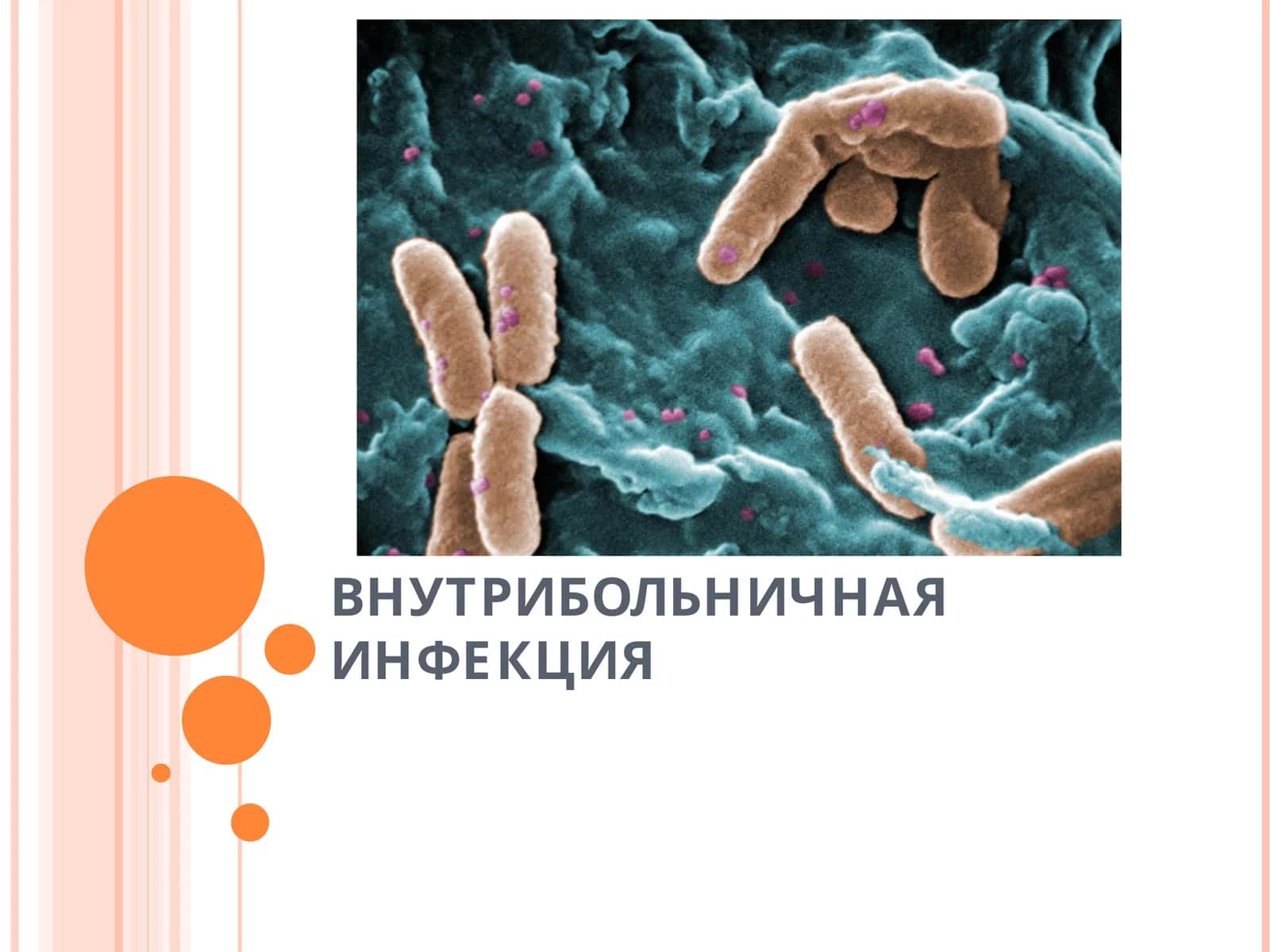 ВНУТРИБОЛЬНИЧНАЯ ИНФЕКЦИЯ 1