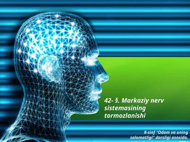 Markaziy nerv sistema tormozlanishi 1