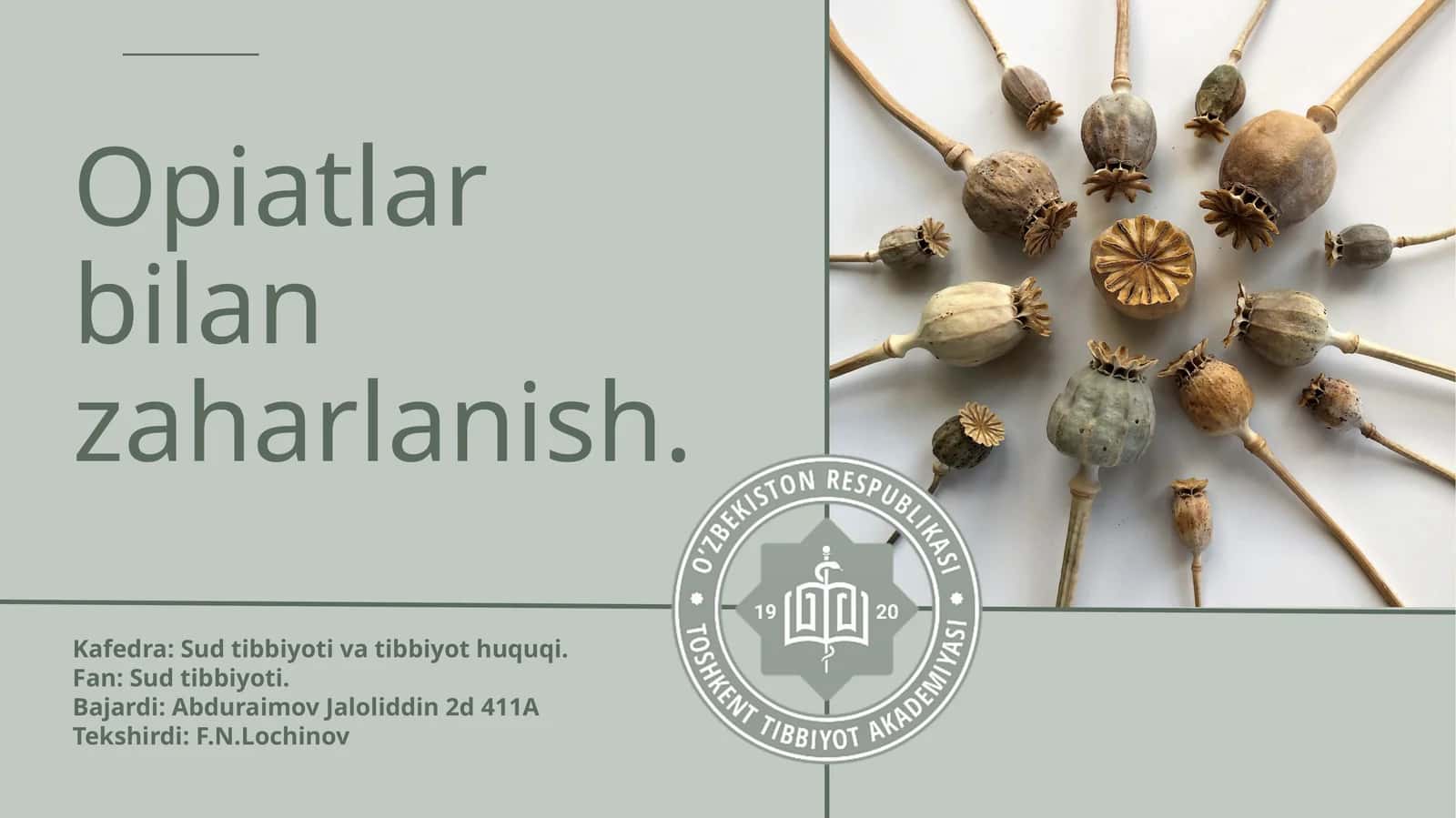 Opiyatlarbilanzaharlanish 1