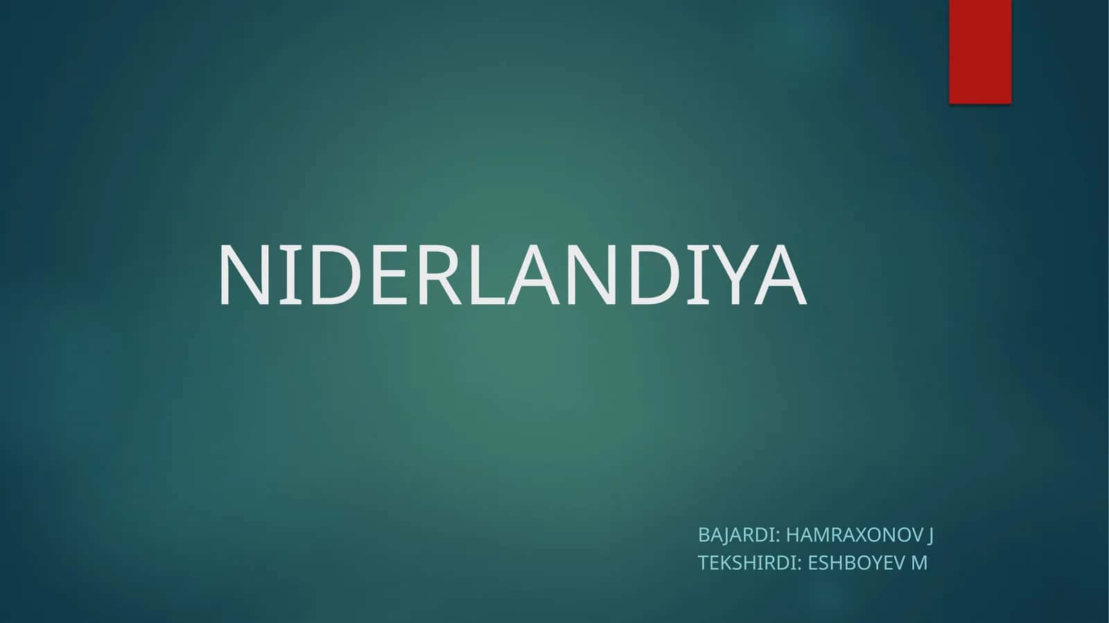 Niderlandiya 1