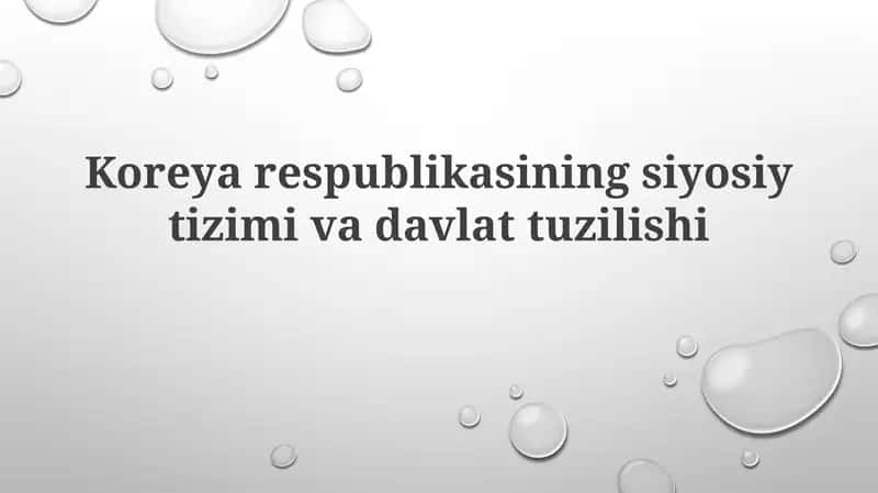 Koreya Respublikasining Siyosiy Tizimi va Davlat Tuzilishi 1