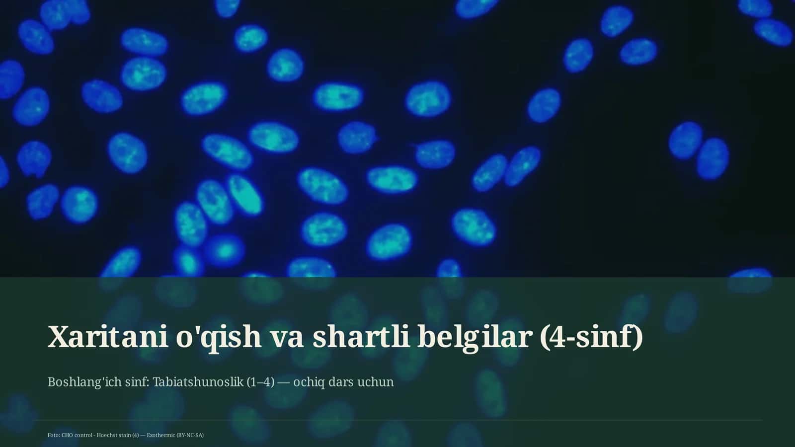 Xaritani o'qish va shartli belgilar (4-sinf) 1