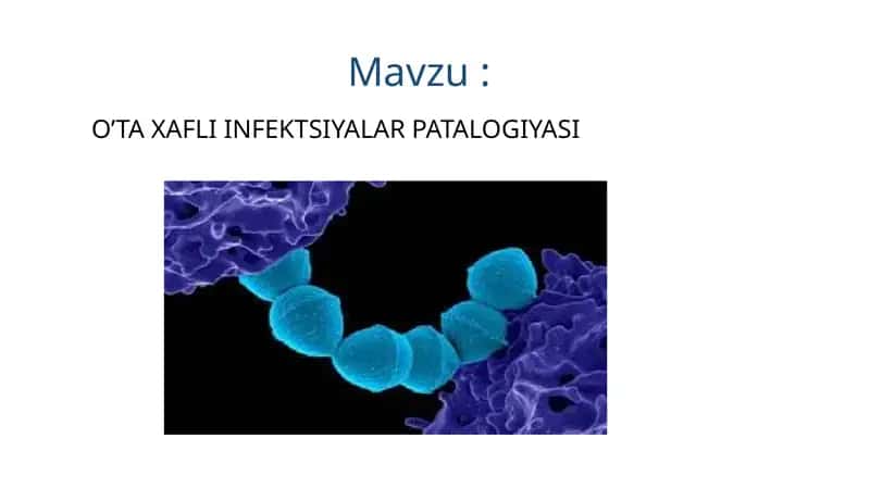O’TA XAFLI INFEKTSIYALAR PATALOGIYASI 1