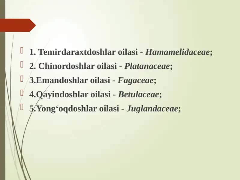 Temirdaraxtdoshlar oilasi 1