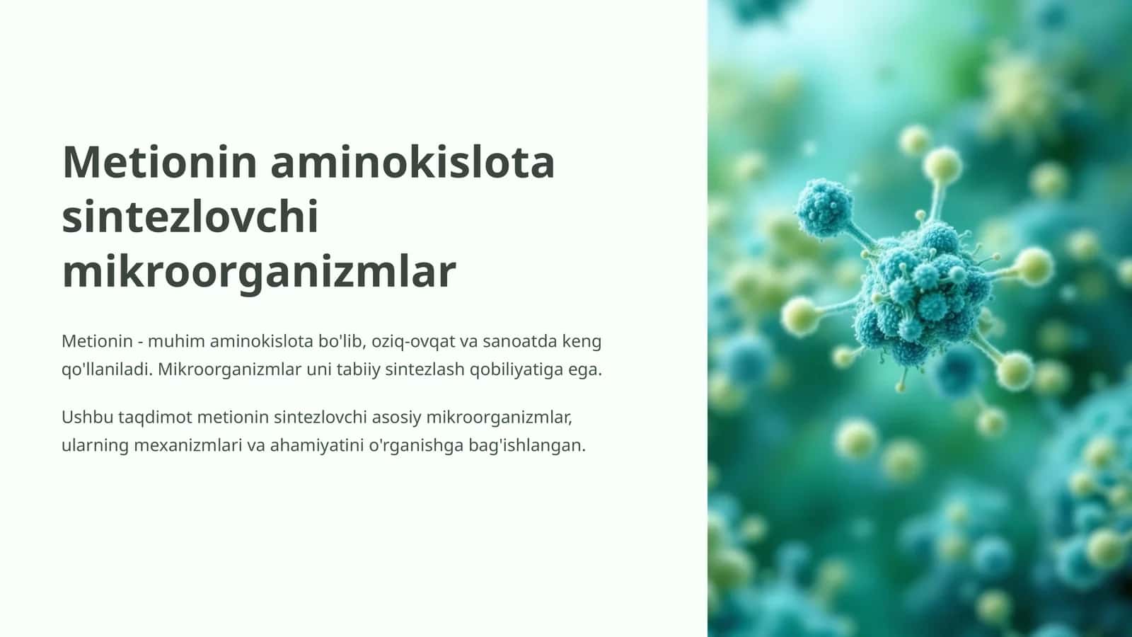 Metionin aminokislota sintezlovchi mikroorganizmlar 1