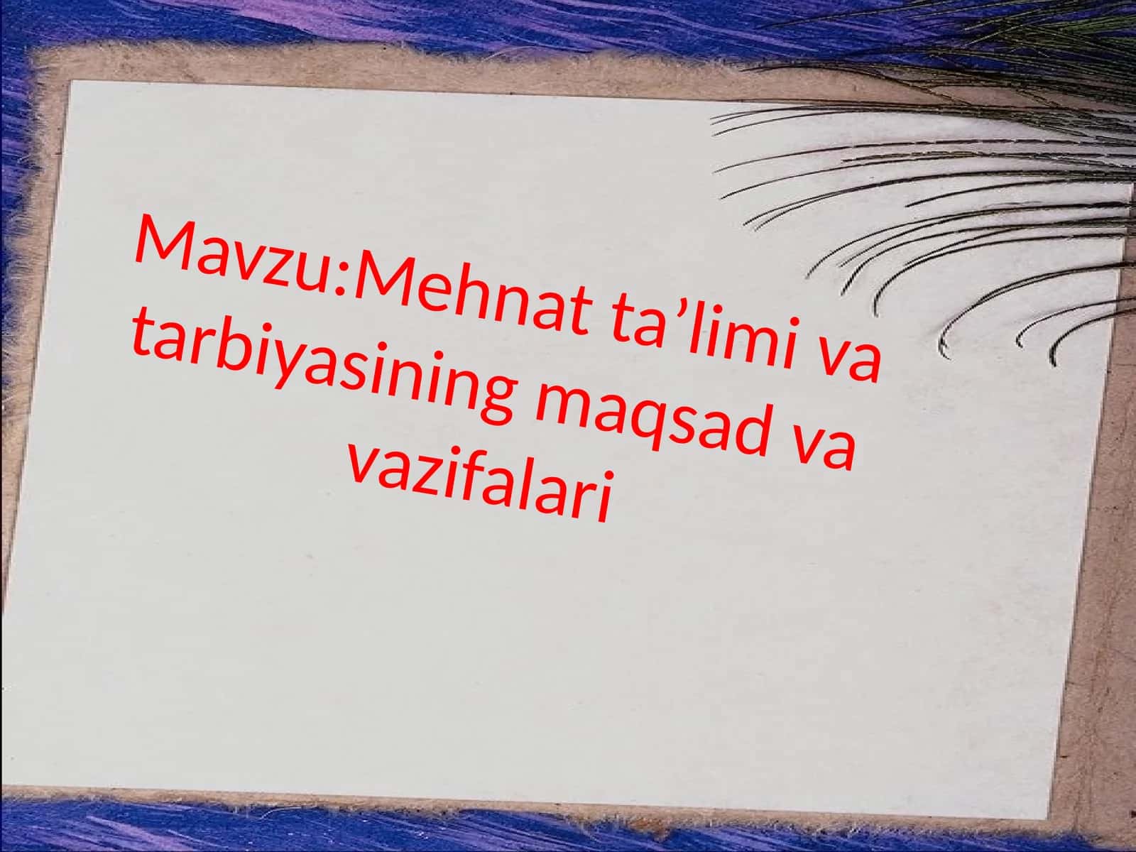 Mehnat ta'limi va tarbiyasi maqsadlari va vazifalari 1