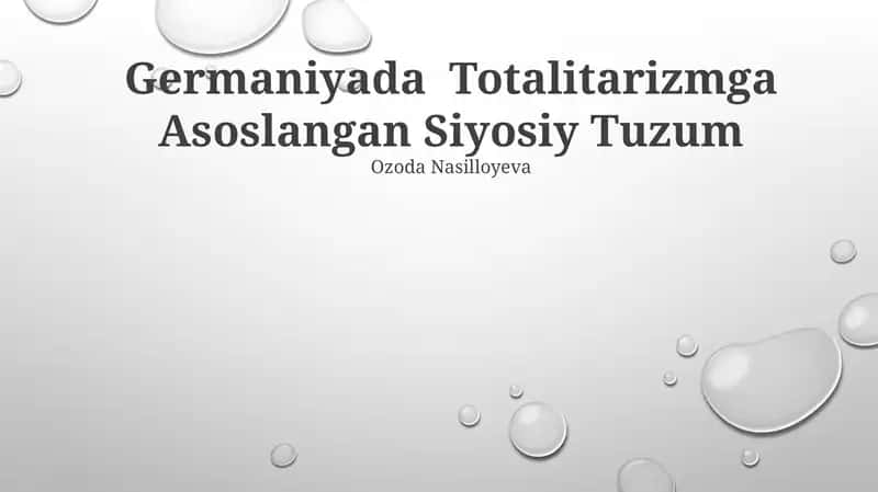 Germaniyada Totalitarizmga Asoslangan Siyosiy Tuzum 1