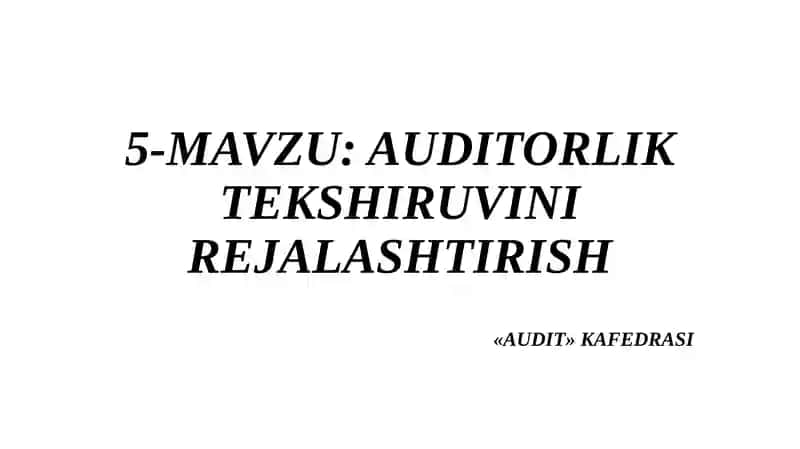 Auditorlik Tekshiruvi Rejalashtirish