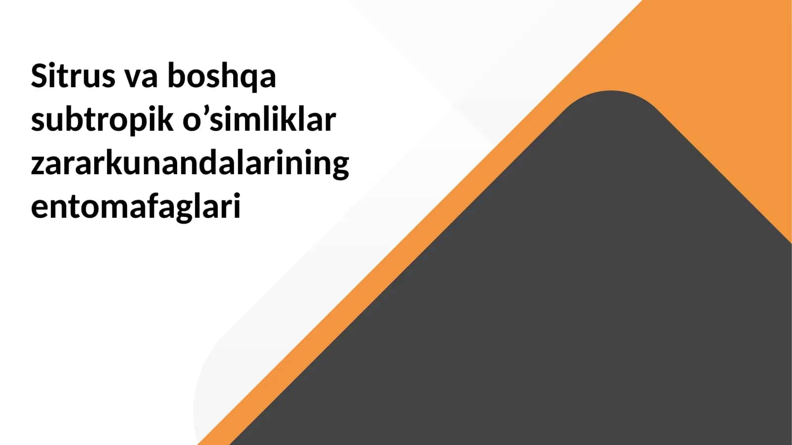 Sitrusvaboshqasubtropiko'simliklar zararkunandalarining entomafaglari 1