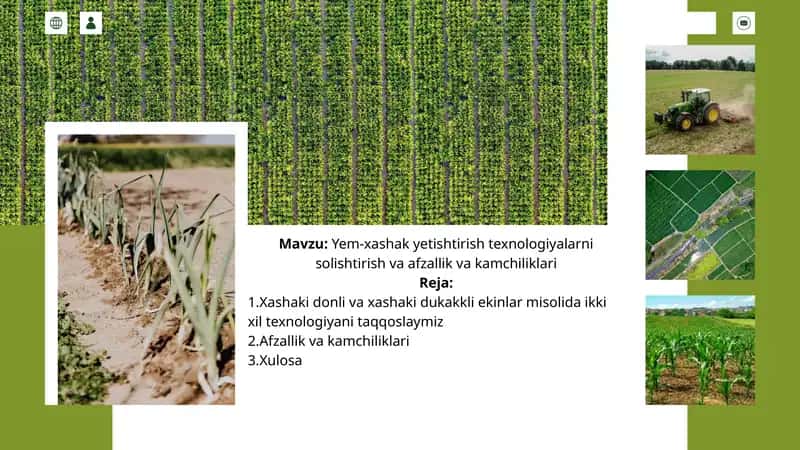 Yem-xashak yetishtirish texnologiyalarni solishtirish va afzallik va kamchiliklari 1