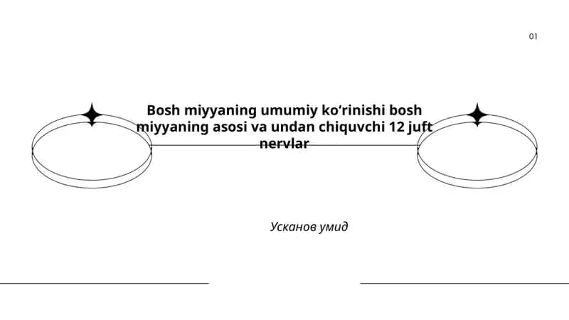 Bosh miyyaning umumiy koʻrinishi va asosiy bo‘linmalari 1