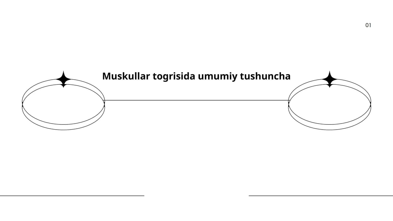 Muskullar togrisida umumiy tushuncha 1