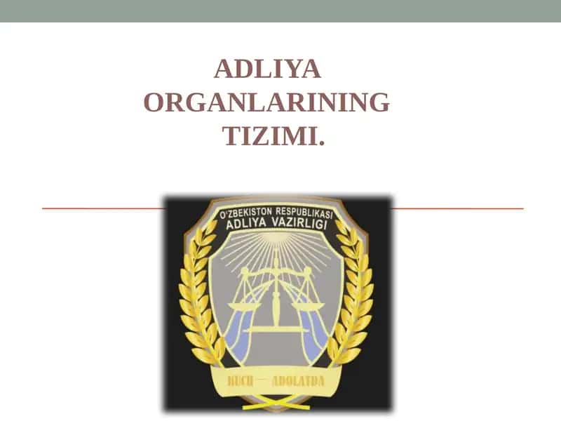 ADLIYA ORGANLARINING TIZIMI 1