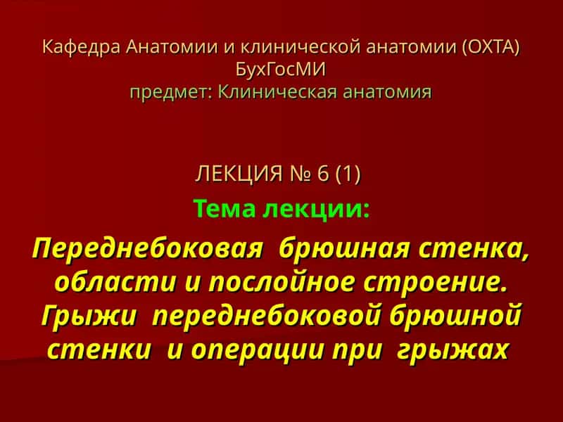 Лекция № 6 - Клиническая анатомия 1