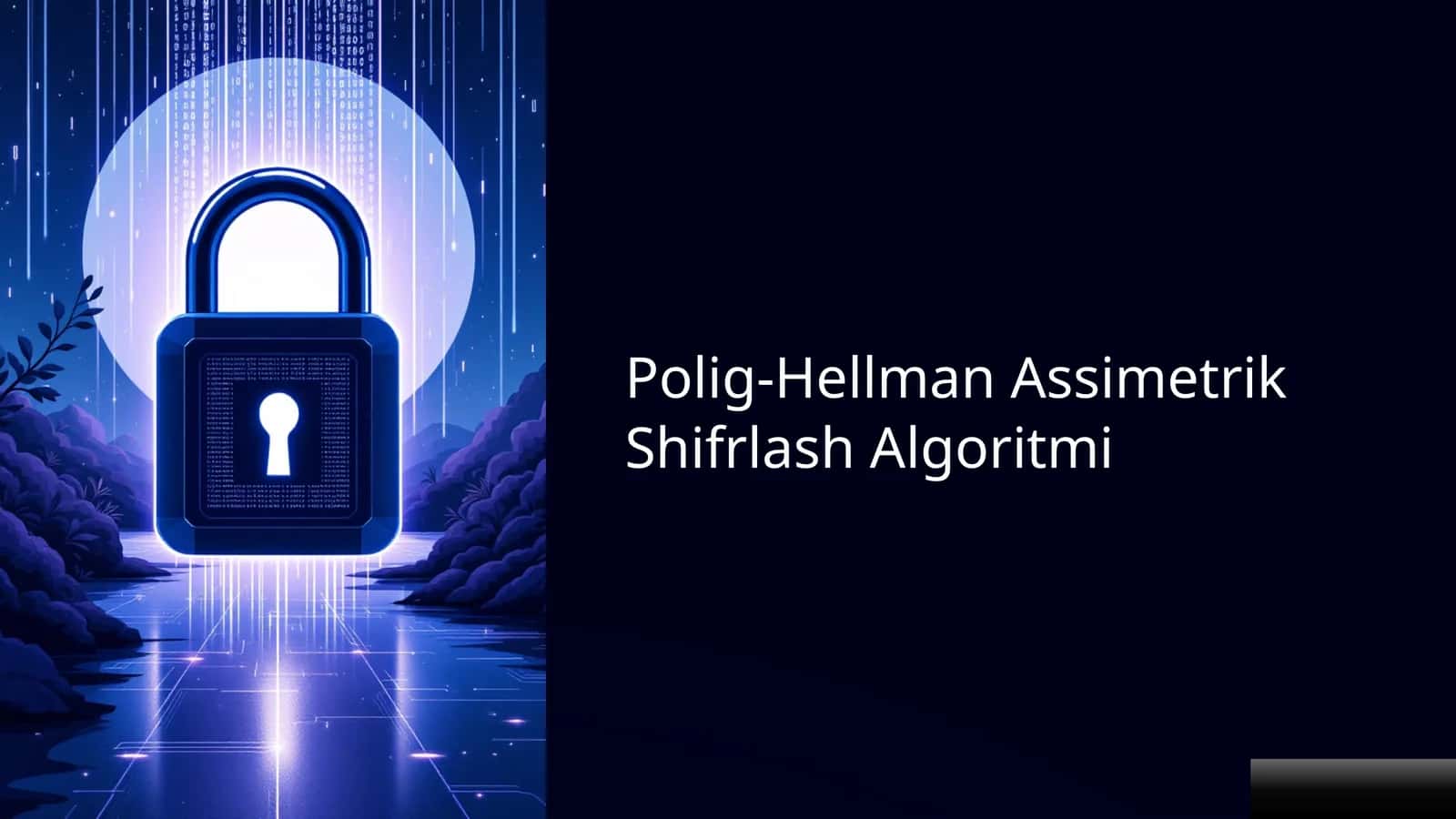 Polig-Hellman Assimetrik Shifrlash Algoritmi 1