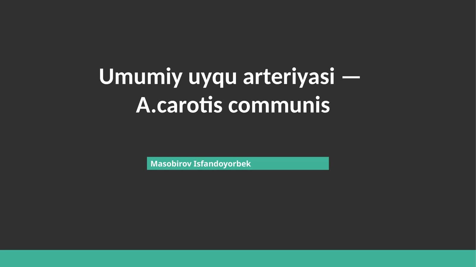 Umumiy uyqu arteriyasi — A.carotis communis 1