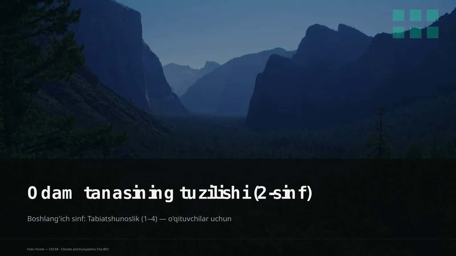 Odam tanasining tuzilishi (2-sinf) 1