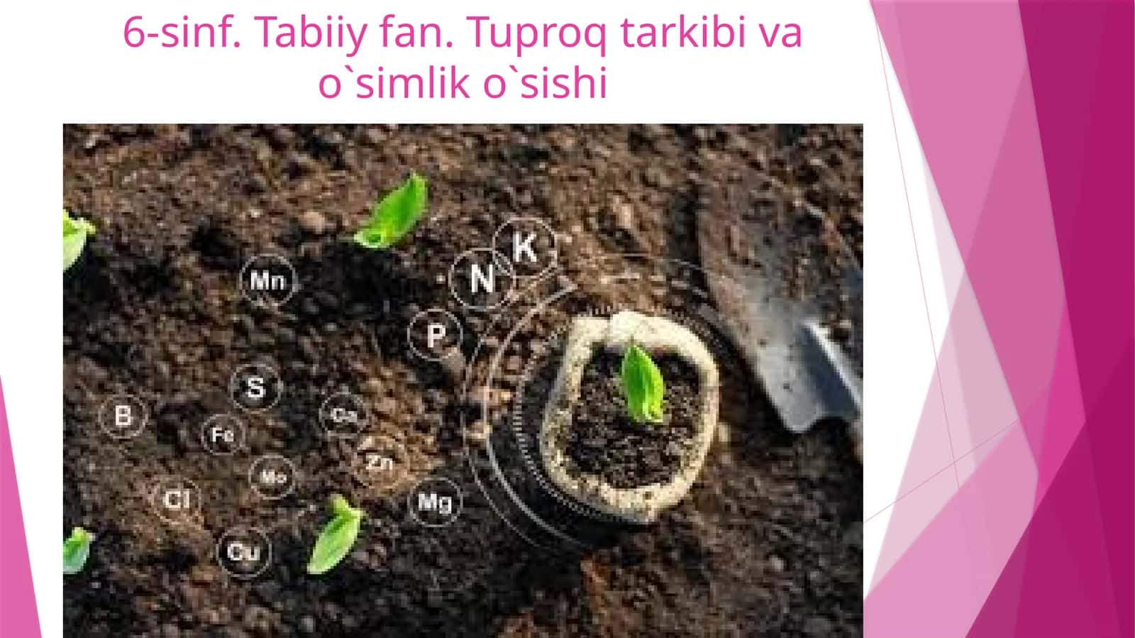 6-sinf.Tabiiyfan.Tuproqtarkibivao`simliko`sishi 1